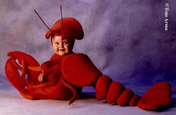 bebe ecrevisse-humourenvrac